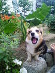 200906090542000.jpg
