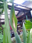 200906100700000.jpg